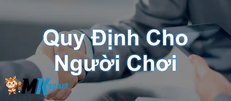 Điều khoản sử dụng cho người chơi